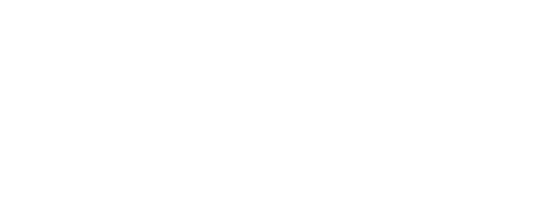 GSFM Logo